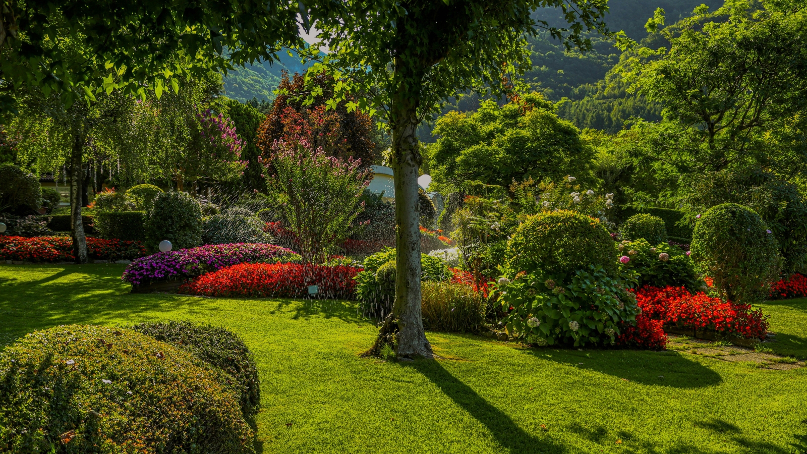 Bayside-Landscape-Design