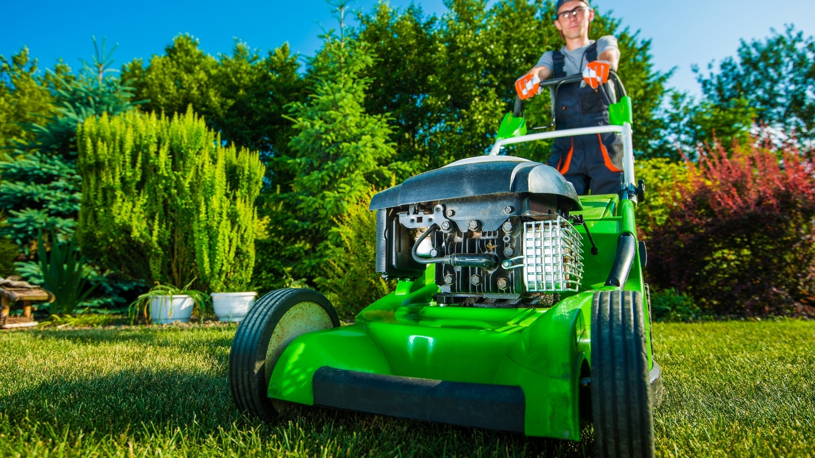 Lawn-Care-Maintenance