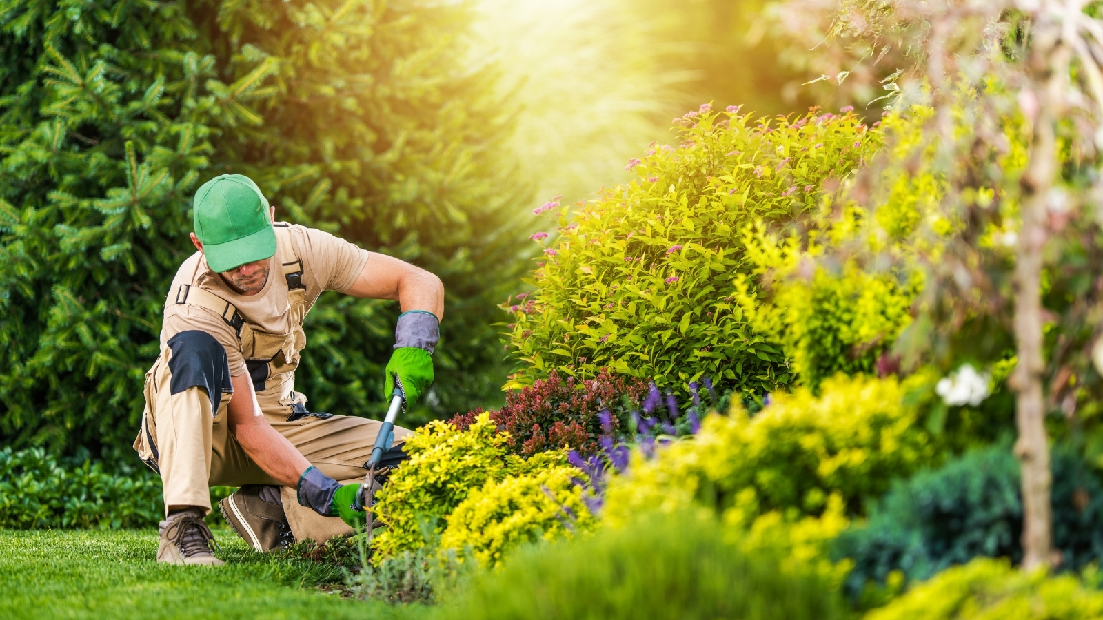 Bayside-Landscaping-Group
