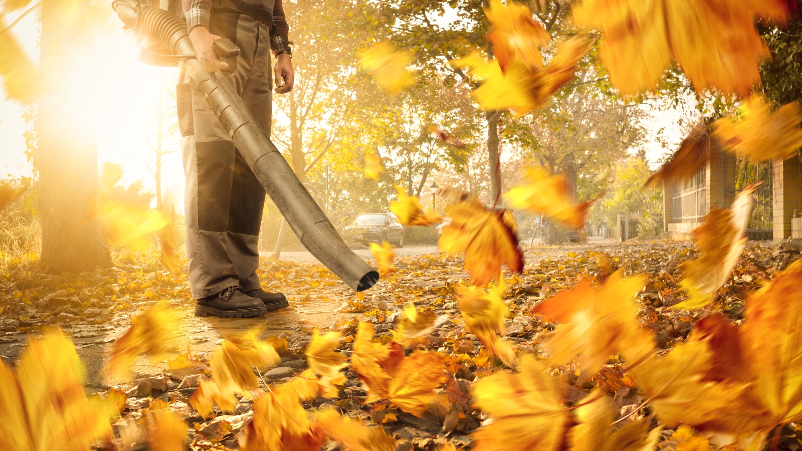 Fall-Cleanup-Services