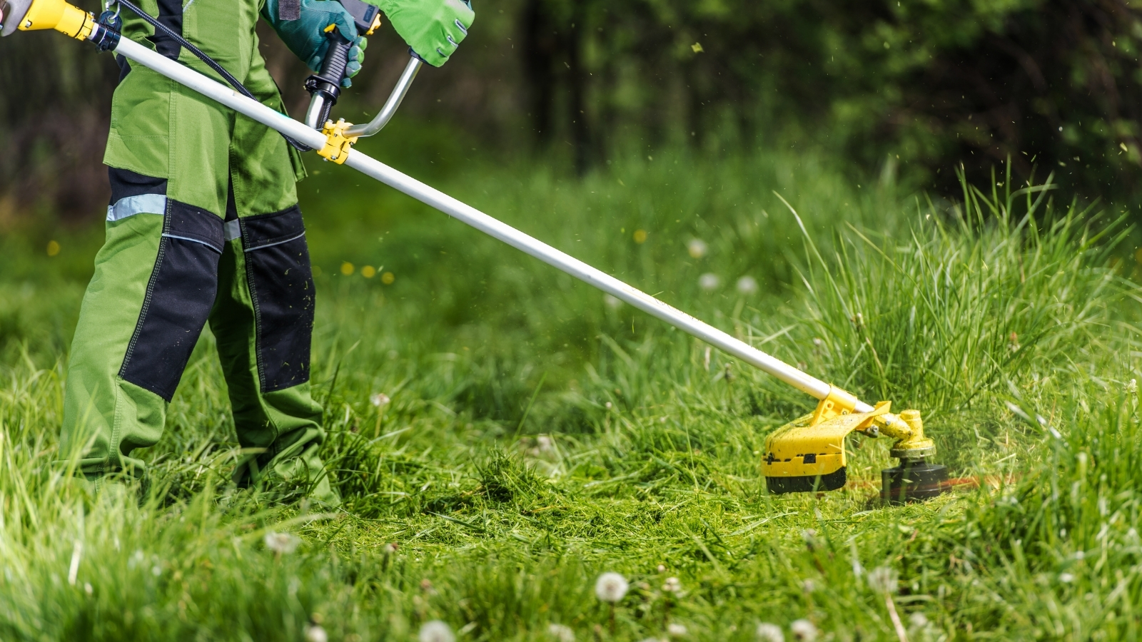 Landcaping-Service