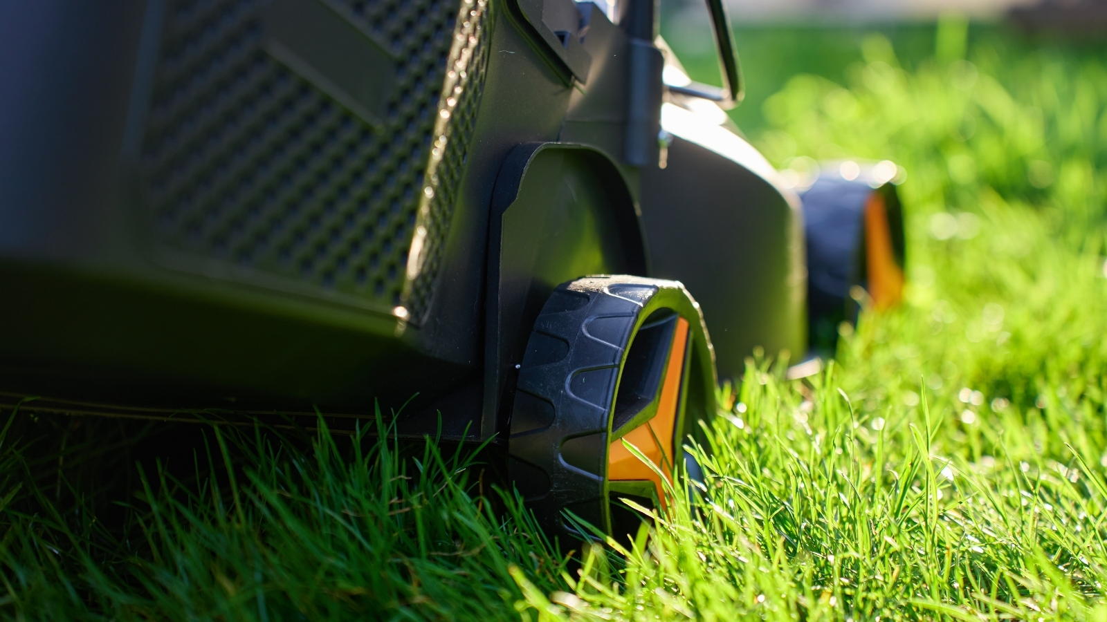 Bayside-Landscaping-Service