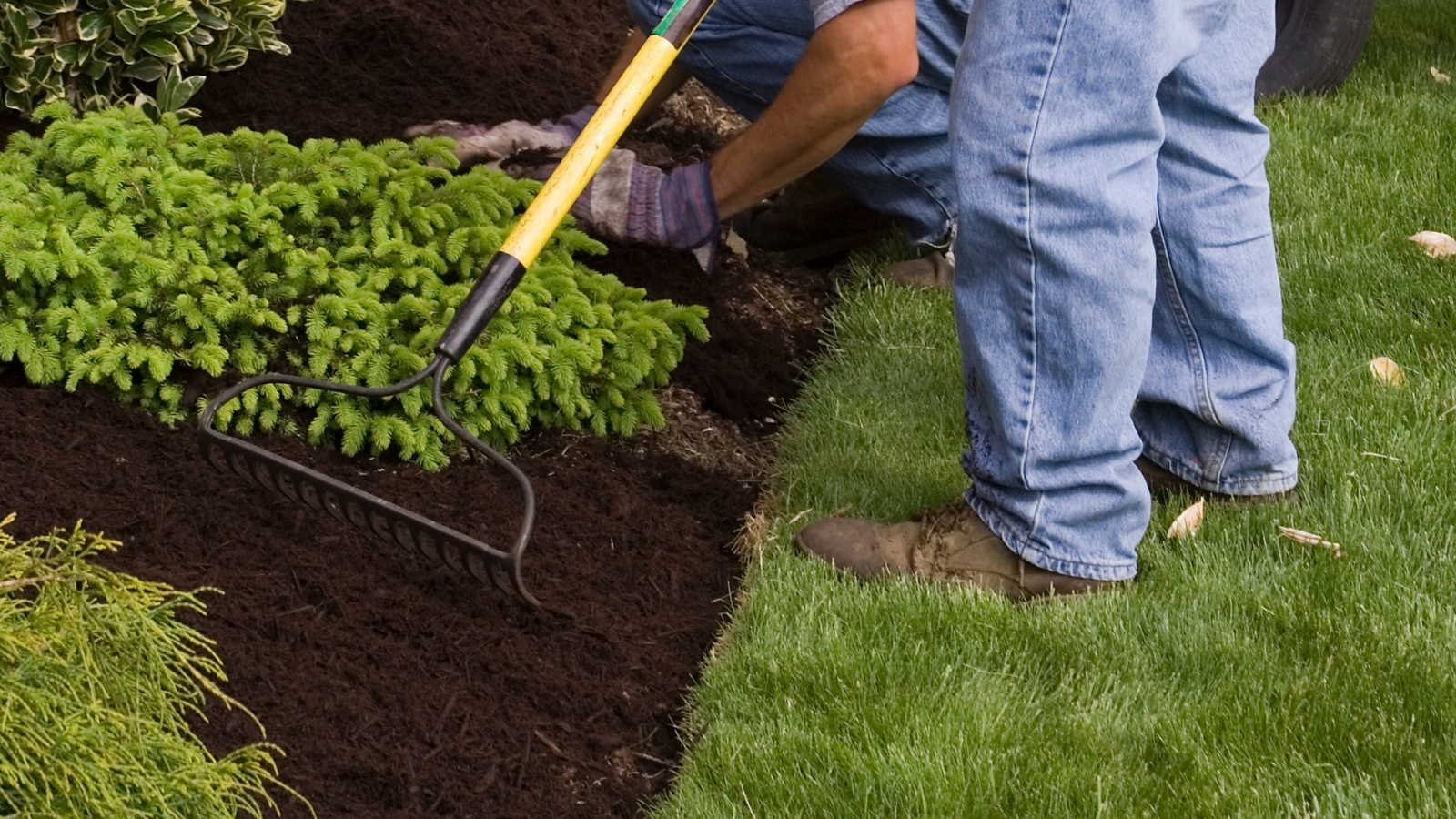 Mulching-Service-Bayside-NY