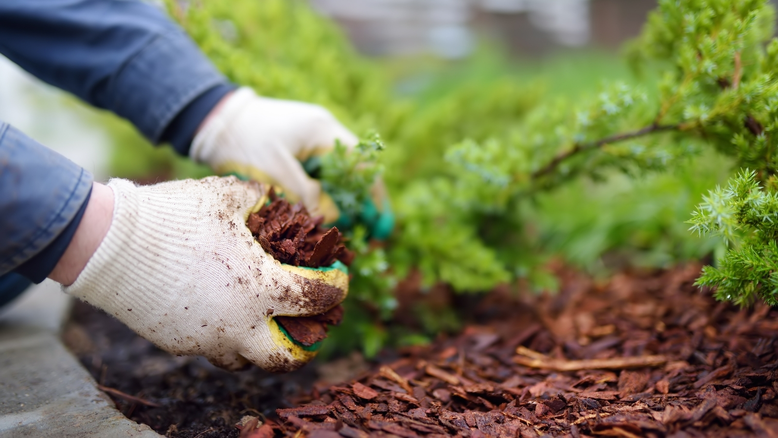 Mulching-Service-Bayside-NY