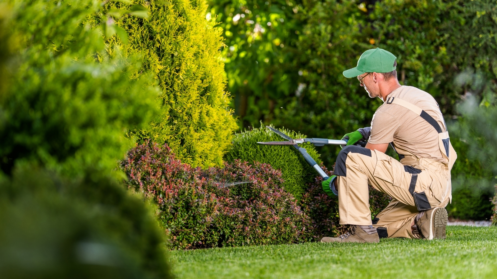 Bayside-Landscaping-Service