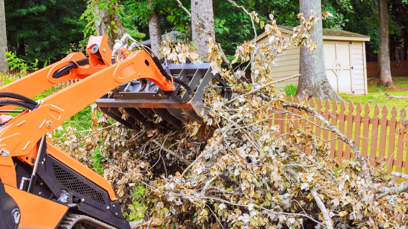 Property-Cleanup-debris-removal