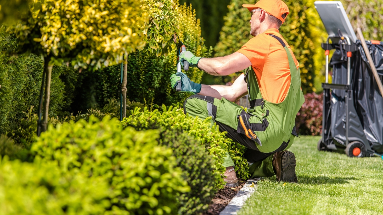 Tree-Trimming-Service