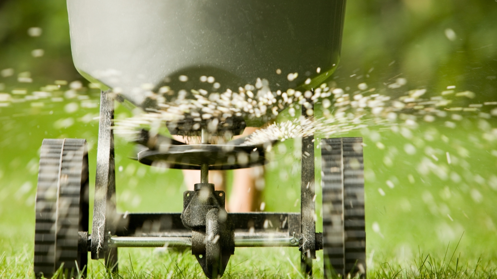 Fertilization-Treatment